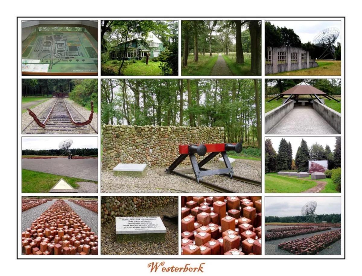 Mini Camping Drentse Monden Nieuw-Weerdinge Exteriér fotografie