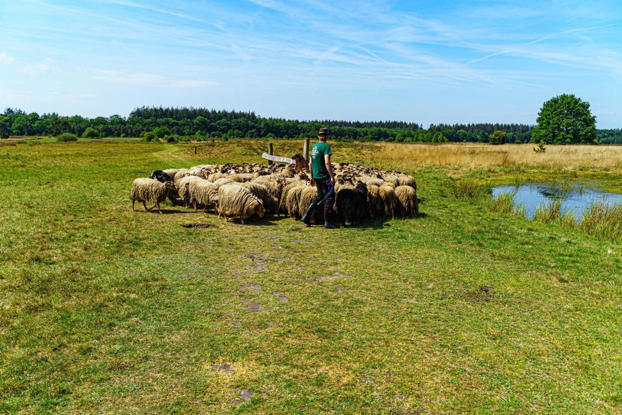 Mini Camping Drentse Monden Nieuw-Weerdinge Exteriér fotografie
