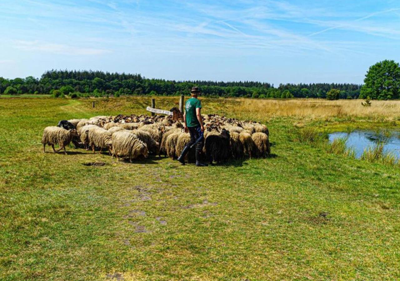 Mini Camping Drentse Monden Nieuw-Weerdinge Exteriér fotografie
